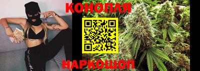 PSILOCYBIN Заводоуковск