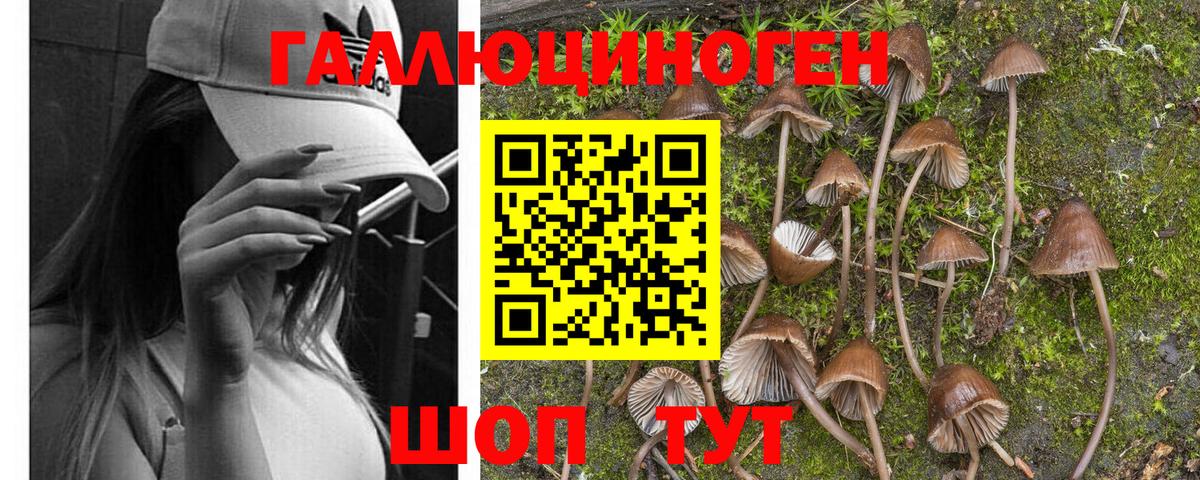 Псилоцибиновые грибы Magic Shrooms Лыткарино