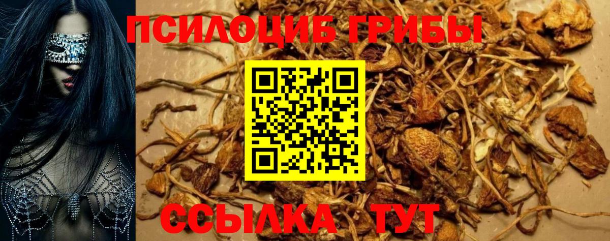 Галлюциногенные грибы Psilocybine cubensis  Вход с VPN  Лыткарино 